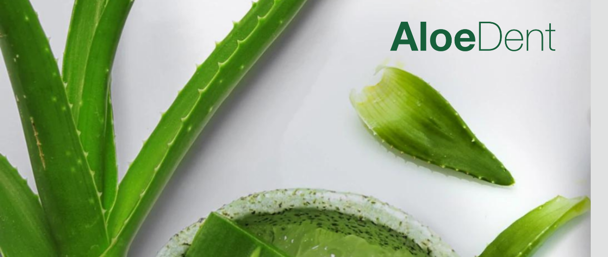 aloe 1233x521 1